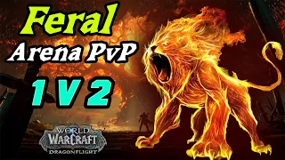 World of Warcraft Feral Druid 1v2  Arena Skirmish PvP Dragonflight 10.1.5 #worldofwarcraft #druid