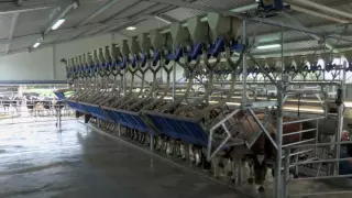 DeLaval Parallel Parlour