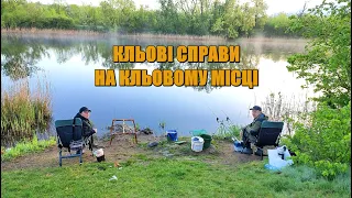 Рибалка ЯКИХ МАЛО 🐟🐟 Карась АТАКУЄ ВОЛНАМИ на всі вудилища ЗРАЗУ 💥💥  Fishing Video