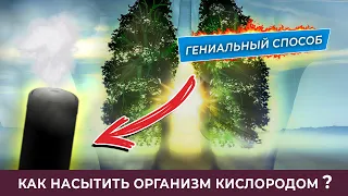 Гениальный способ! Как насытить организм кислородом?