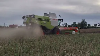 Żniwa rzepakowe 2023/GR PATOLETA/2xCLAAS/2xJOHNDEERE