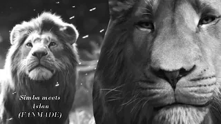 Simba meets Aslan (FANMADE)