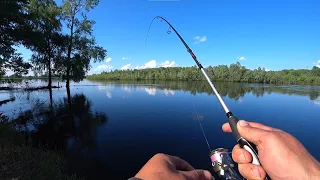 Не Хижак, Але Ловимо На Спінінг. Показую Секретну Оснастку