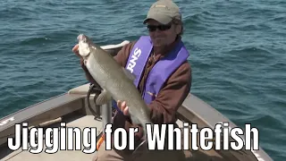 Vertical Jigging for Huge Whitefish | Fish'n Canada