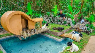 Rescue Abandoned Puppies Building Dog House Villa And Fish Pond For Catfish