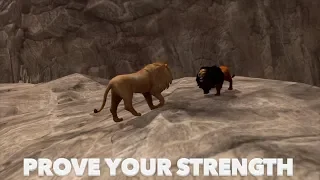 🦁Furious Lion Vs Angry Lion King👑Boss Fight , Ultimate Lion Simulator