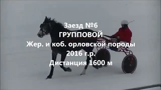 Заезд №6 ГРУППОВОЙ