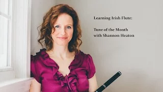 Learning Irish Flute - Tune of the Month with Shannon Heaton - When the Cock Crows [Jig]