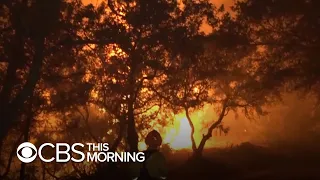 Return of high winds and scorching temperatures fuel wildfire in California's wine country