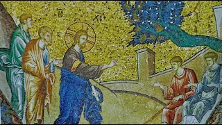 Homily: On the Healing of the Blind Man and Our Own Spiritual Blindness