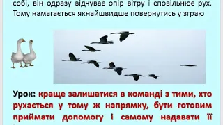 Основи здоров'я. Урок № 20. Спілкування і здоров’я. 6 клас