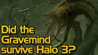 Did the Gravemind survive Halo 3?