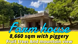 V379-24 Farm house and lot 8,660 sqm with piggery, fruit trees and mountain view | nasugbu batangas