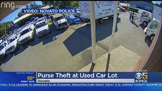 Purse Snatching At Novato Car Lot Caught On Video