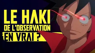 Le HAKI de l'OBSERVATION dans One Piece, en vrai, c'est possible ?