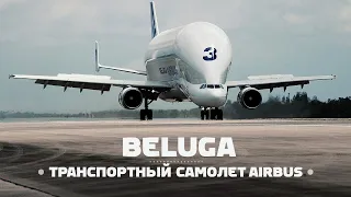 Airbus Beluga. Некрасив, но эффективен. Теперь и XL