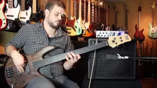 Fodera Monarch 4 Standard Fretless demo by Bass Club Chicago