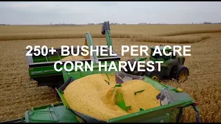 North Dakota Corn Harvest 2019 (Forman, ND)