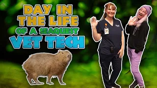 Day in the life of a SeaQuest Vet Tech