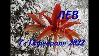 Лев с 7 по 13 февраля 2022