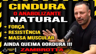 CINDURA - SUBSTÂNCIA NATURAL COM POTÊNCIA DE ESTERÓIDE LIVRE DE COLATERAIS ! | ZAMBROTTA