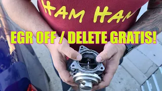 EGR OFF / DELETE GRATIS!