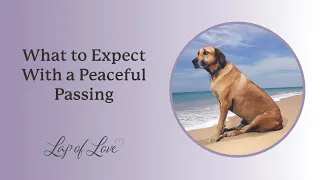 What to Expect with a Peaceful Passing