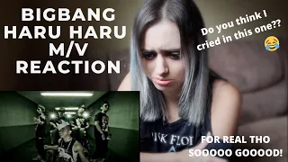 BIGBANG - HARU HARU(하루하루) M/V REACTION