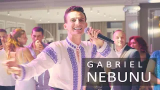 Gabriel Nebunu la Nunta  Filmare la nunta Richland