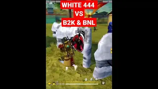 WHITE 444 VS B2K, BNL