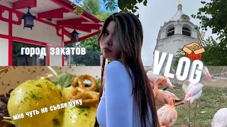 VLOG/ГОРОД ЗАКАТОВ-Нижний Новгород,зоопарк, Япония