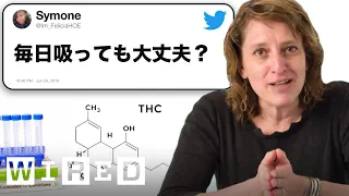 大麻の研究者だけど質問ある？ | Tech Support | WIRED Japan