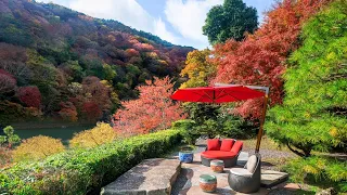 Top 10 Luxury Hotels in Kyoto, Japan