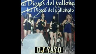 Patricia Teheran y las Musas del Vallenato Mix Dj Yayo