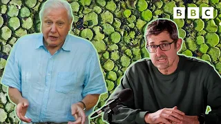 Louis Theroux VS Sir David Attenborough – who narrates The Green Planet better? 🤔 🌱 BBC