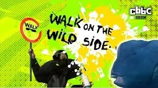 CBBC: Walk on The Wild Side - Posh Fish