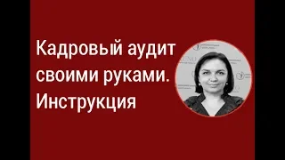 Кадровый аудит своими руками. Инструкция I Федоренко О.Н.