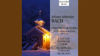 Christmas Oratorio, BWV 248: III. 3rd Day of Christmas. 32. Recitative (Alto) : Ja, ja, mein...