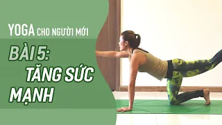 Yoga cho NGƯỜI MỚI Bài 5: Tăng SỨC MẠNH CƠ BẮP | Yoga By Sophie