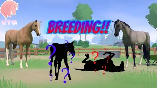 BREEDING IS OUT! Equestrian the game [ETG E63]