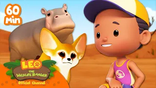 1 HOUR WITH ANIMALS IN THE SCORCHING HEAT 🔥 | Leo the Wildlife Ranger | Kids Cartoons | #compilation