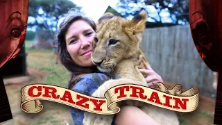 Our Wild Animals Meet Africa's Wild Animals | Crazy Train Episode 7