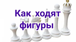 1)   Шахматы для начинающих.  Как ходят фигуры.