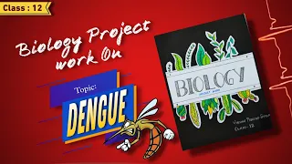 Dengue | Biology Project Work | Class 12 | Creative Ruby