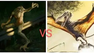 Loveland Frogman vs. Kongamato (Stop Motion)