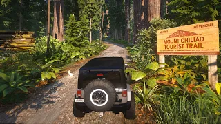 GTA 5 Realistic Vegetation And Dense Forest With Ray Tracing Ultra Settings Gameplay On RTX 3090