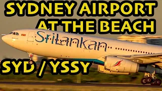 Plane Spotting at THE BEACH! The VERY BEST of Sydney Airport (SYD / YSSY)