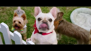 DOG DAYS Trailer #2 2018 Vanessa Hudgens, Eva Longoria, Nina Dobrev, Comedy Mo