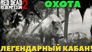 Red Dead Redepmption 2 - Охота. Легендарный Кабан.