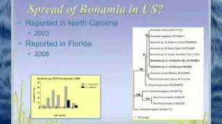 Dr. Susan Laramore-Oysters Got the Blues: Emerging Bivalve Disease and Climate Variability